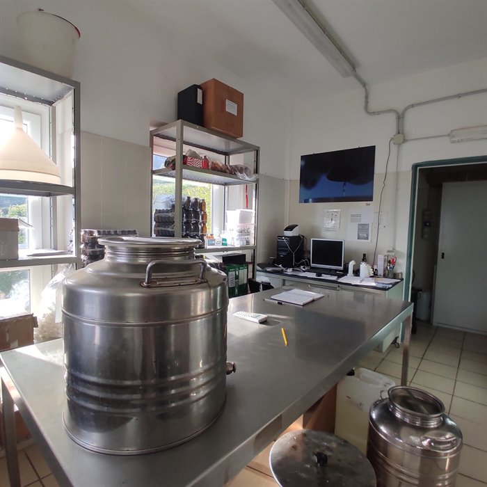 DIAMO FORMA AL FUTURO