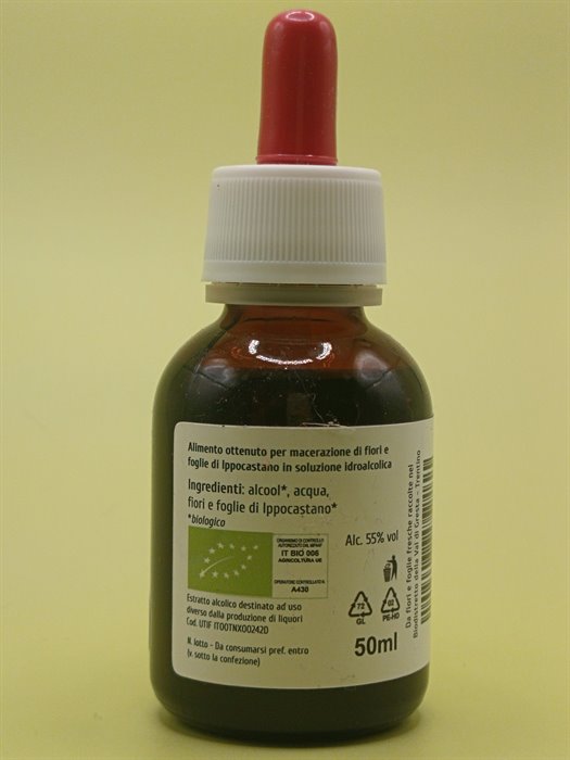 catTmp.Name - IPPOCASTANO TM