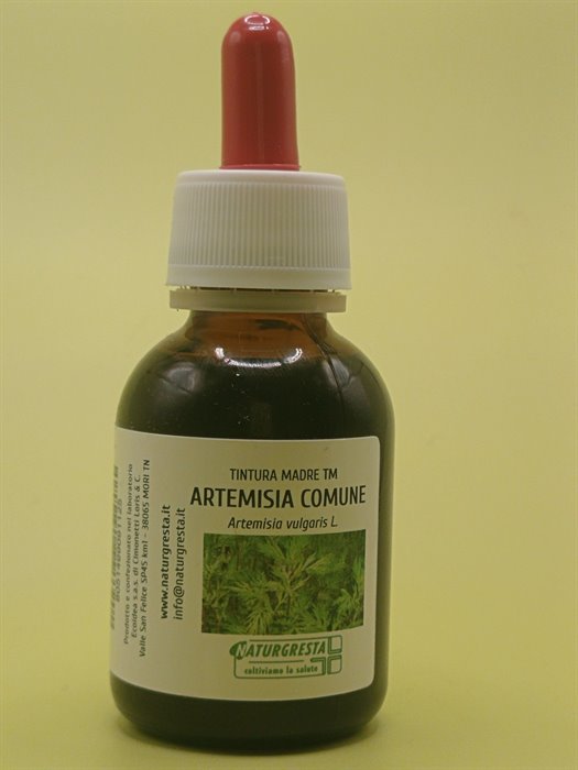 TINTURE MADRI - ARTEMISIA COMUNE TM