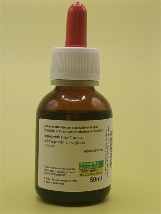 catTmp.Name - PUNGITOPO TM