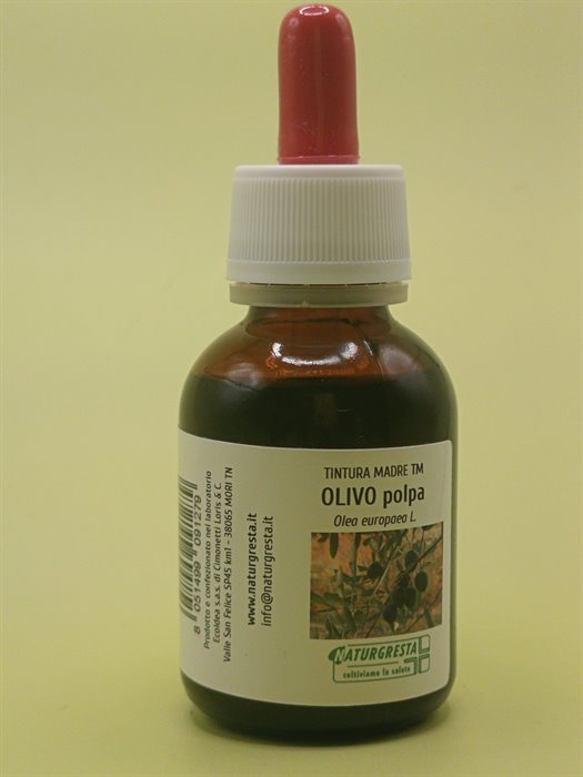 TINTURE MADRI - OLIVO POLPA TM