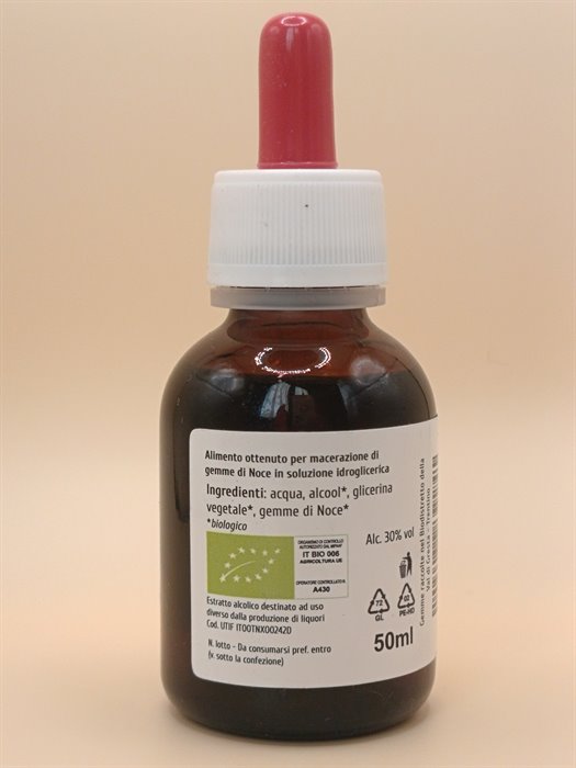 catTmp.Name - NOCE MG 1DH