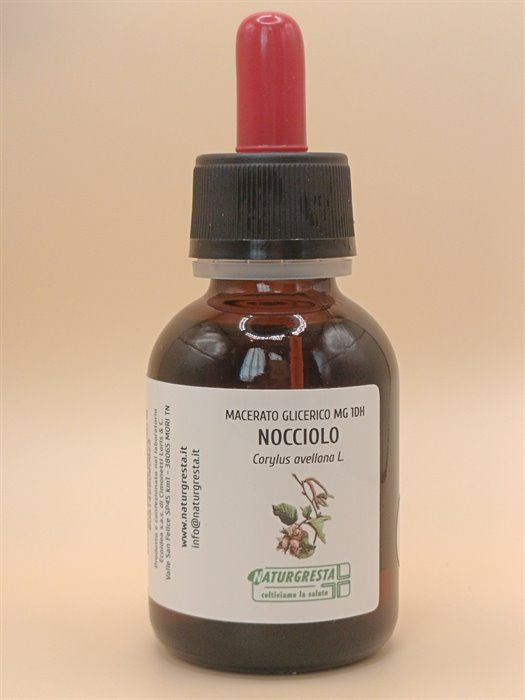 MACERATI GLICERICI - NOCCIOLO MG 1DH