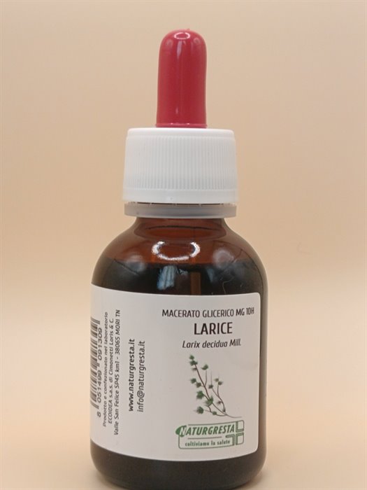 MACERATI GLICERICI - LARICE MG 1DH
