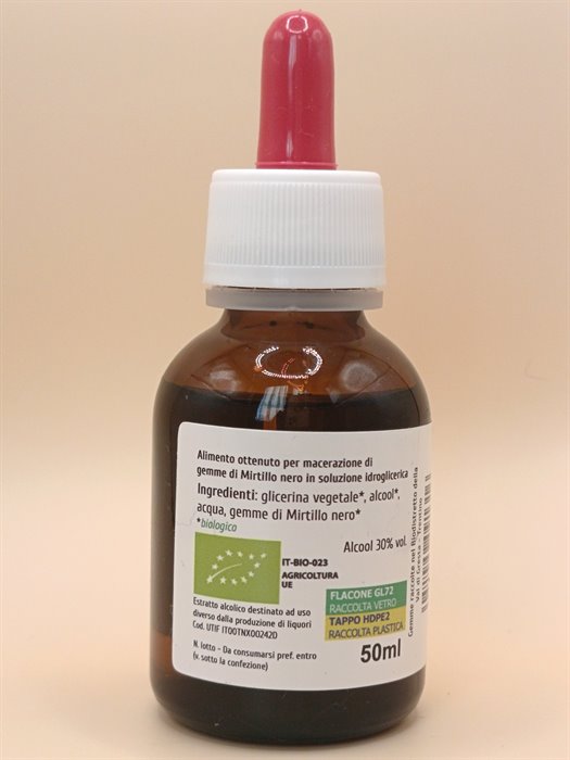 catTmp.Name - MIRTILLO NERO MG 1DH