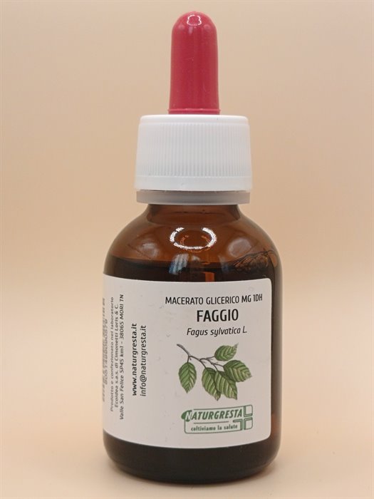 MACERATI GLICERICI - FAGGIO MG 1DH