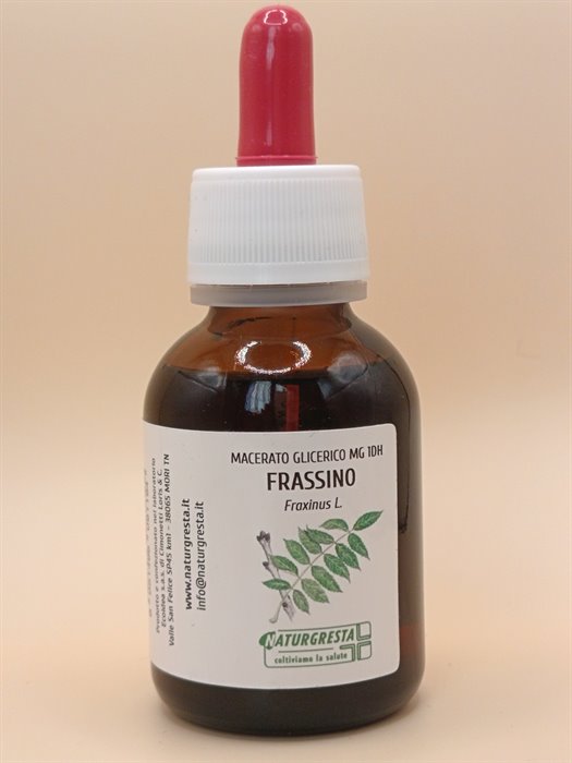 MACERATI GLICERICI - FRASSINO MG 1DH
