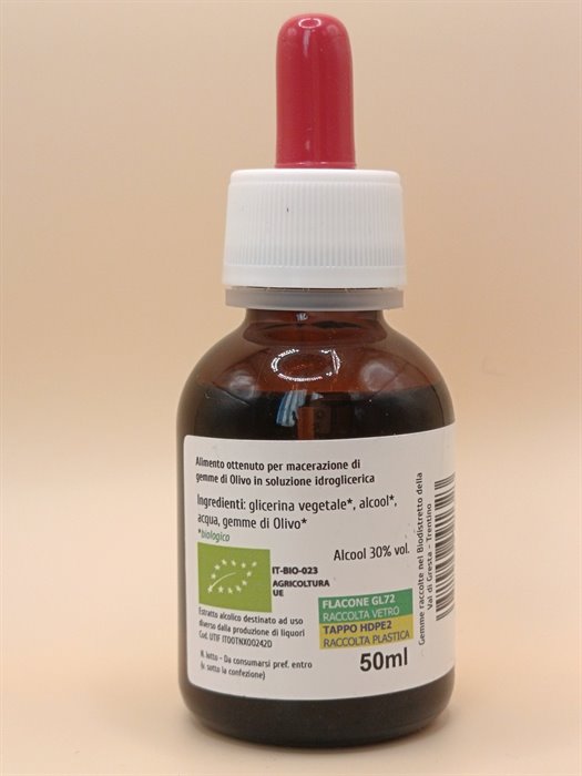 catTmp.Name - OLIVO MG 1DH