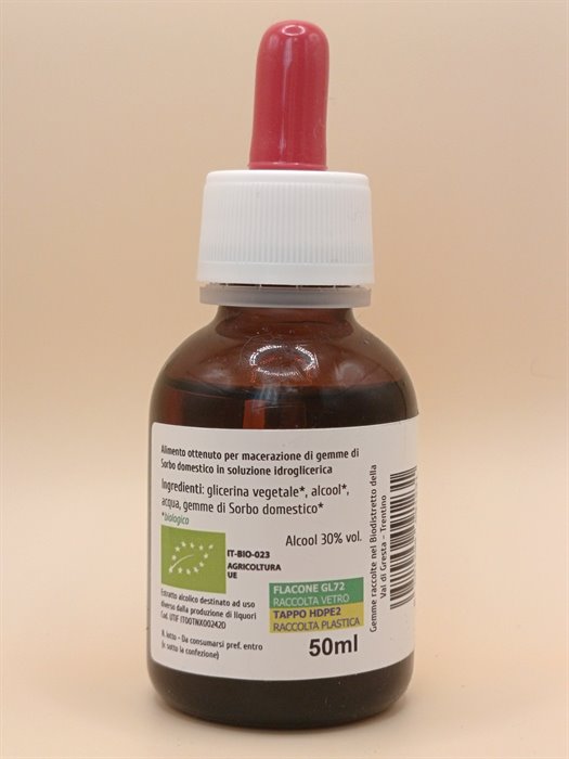 catTmp.Name - SORBO MG 1DH