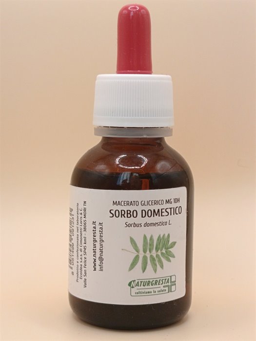 MACERATI GLICERICI - SORBO MG 1DH