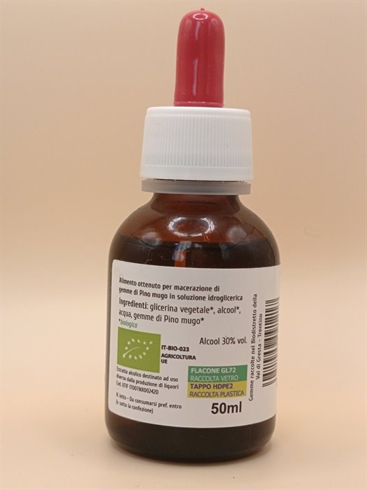 catTmp.Name - PINO MUGO MG 1DH