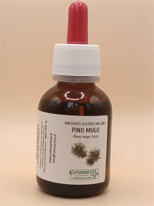 MACERATI GLICERICI - PINO MUGO MG 1DH