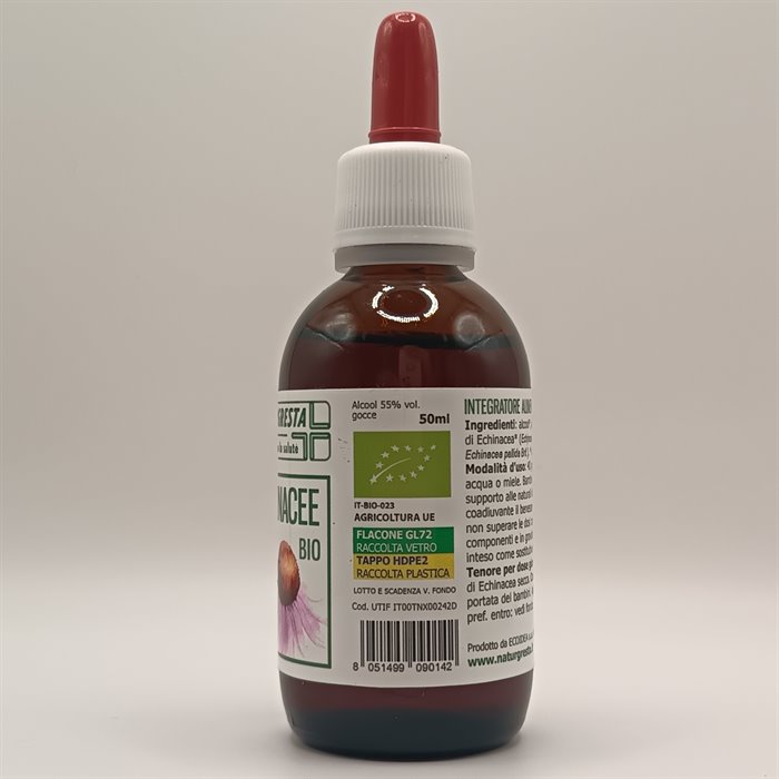 catTmp.Name - ECHINACEE