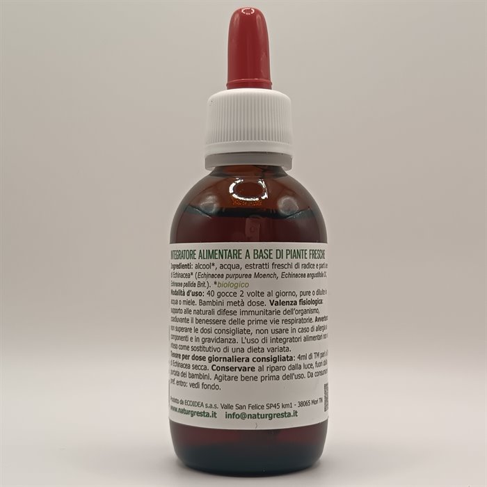 catTmp.Name - ECHINACEE