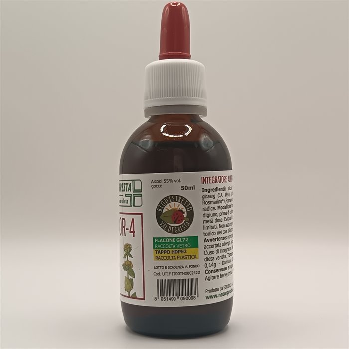 catTmp.Name - VIGOR-4