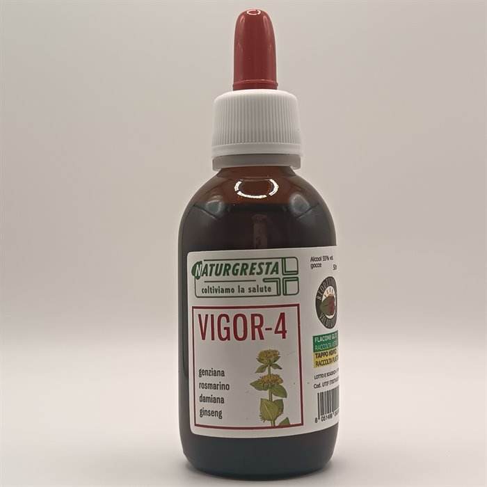 INTEGRATORI - VIGOR-4
