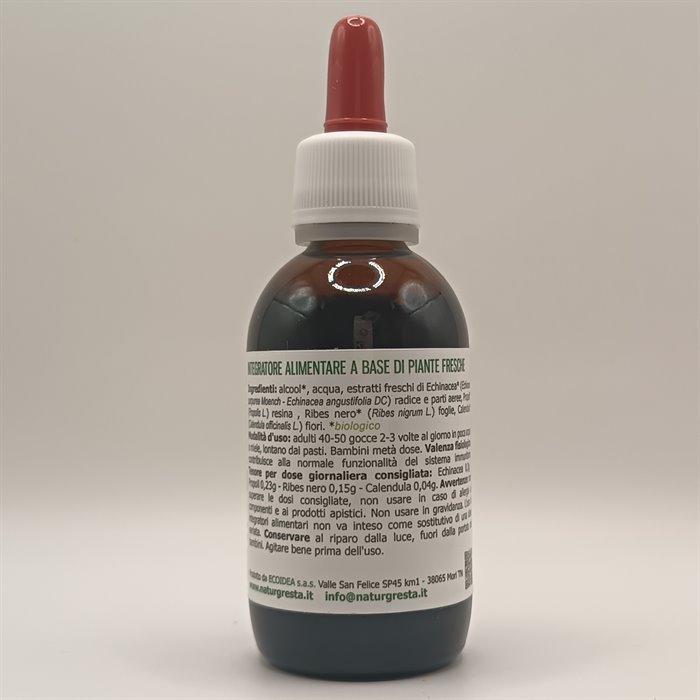 catTmp.Name - INFLU.NO-4